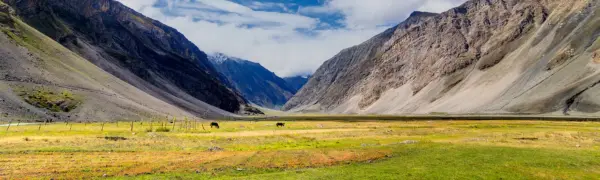 Srinagar to Drass Taxi